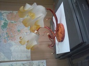 Бра настенное,  остатки точки