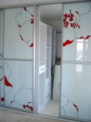 Шкаф . ШКАФ купе на заказ Киев . Скидки 10 % до конца Июня