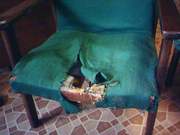 Перетяжка мягкой мебели. Гарантия качества.