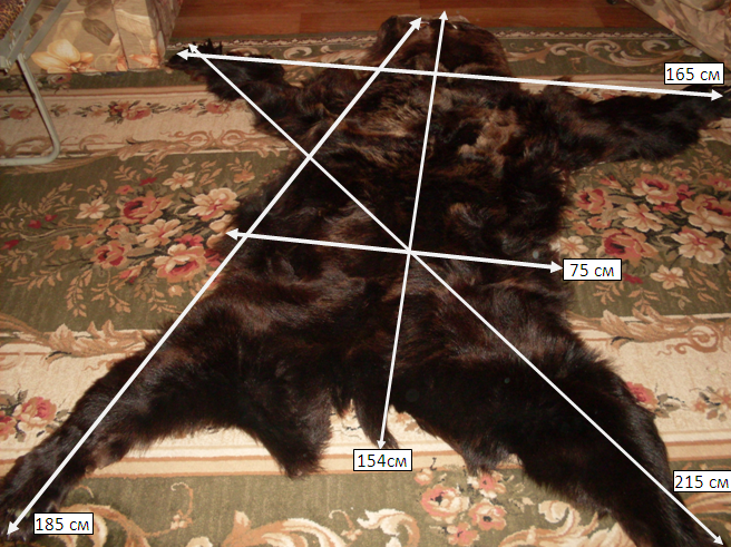 Продам шкуру медведя