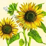 Заготовки, салфетки для декупажа и другие материалы для творчества.