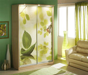 Шкафы купе фотопечать цветы