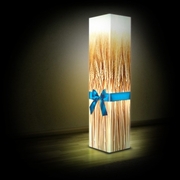 Светильники. Дизайнерские светильники, интерьерные светильники