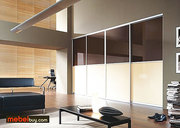 Шкафы-купе встроенные под заказ