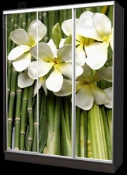 шкафы-купе Solo System