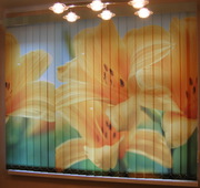 Жалюзи с фотопечатью